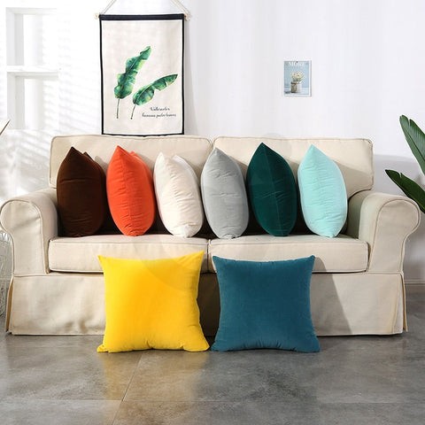 Housse de coussin en velours différents coloris